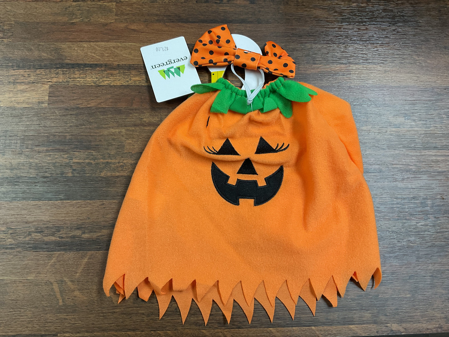 Pumpkin Poncho Goose Outfit