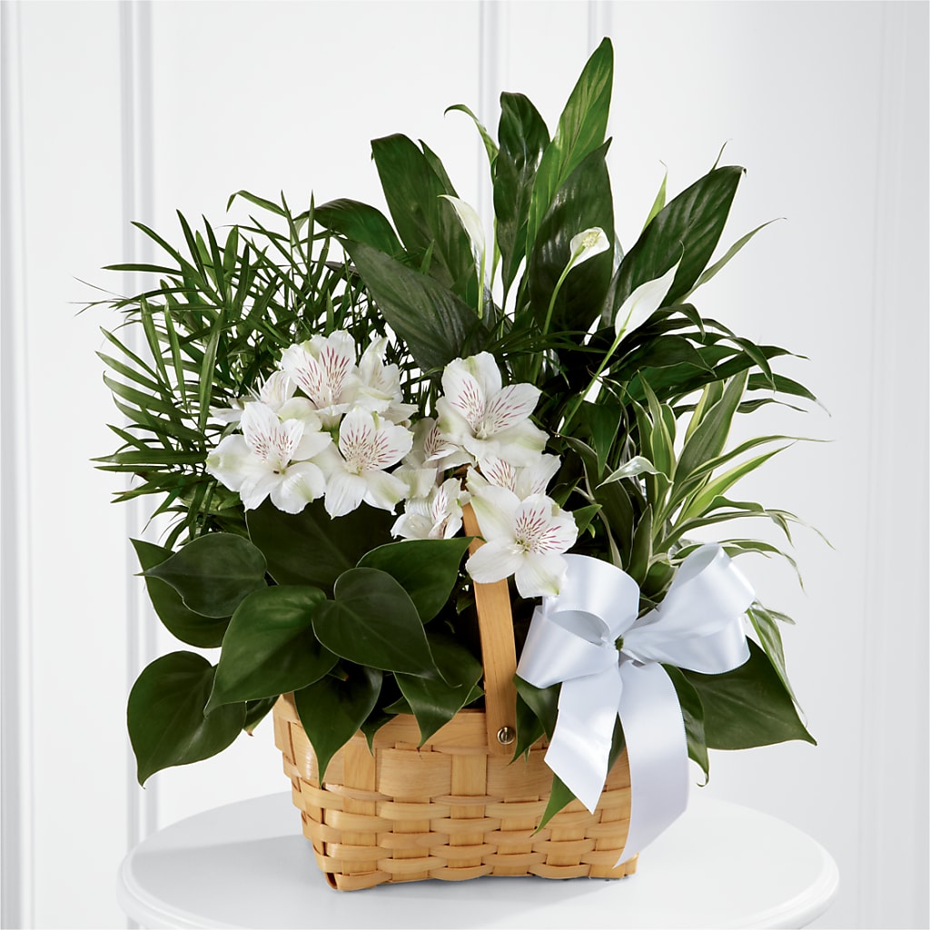 Peace & Serenity Dishgarden – White Lilies N Paradise, Kokomo IN