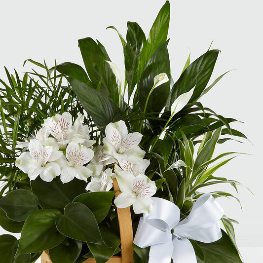 Peace & Serenity Dishgarden – White Lilies N Paradise, Kokomo IN