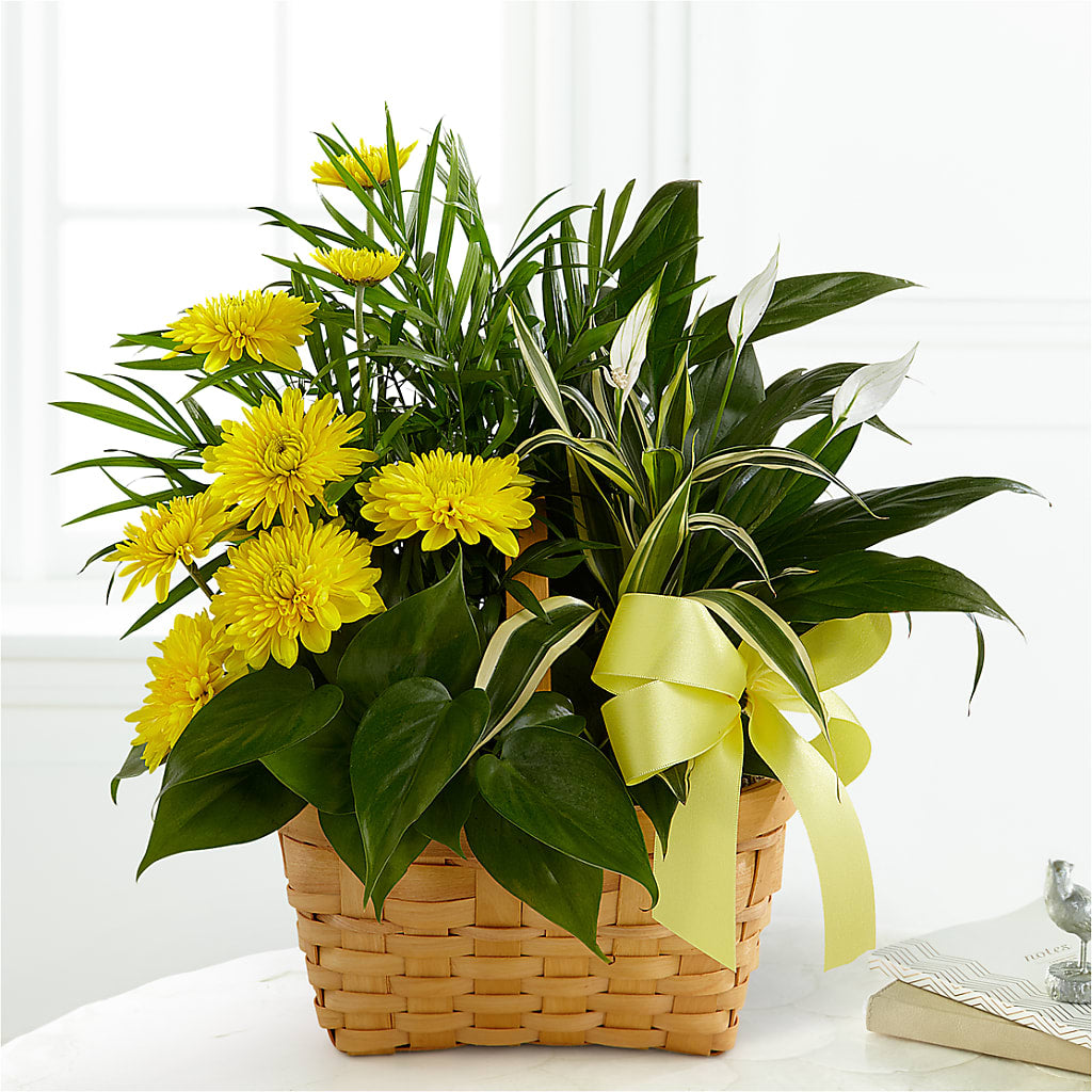 Loving Light Dishgarden – White Lilies N Paradise, Kokomo IN