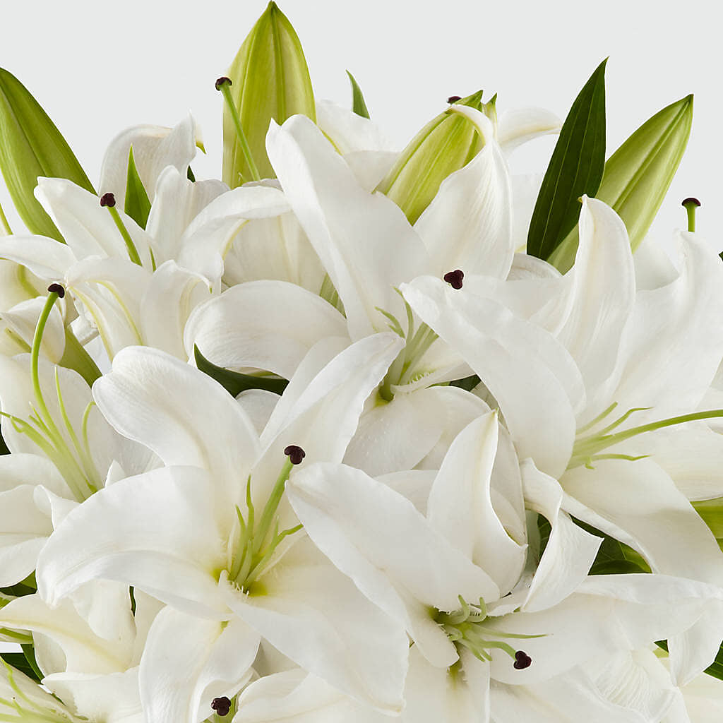 Faithful Blessings Bouquet – White Lilies N Paradise, Kokomo IN
