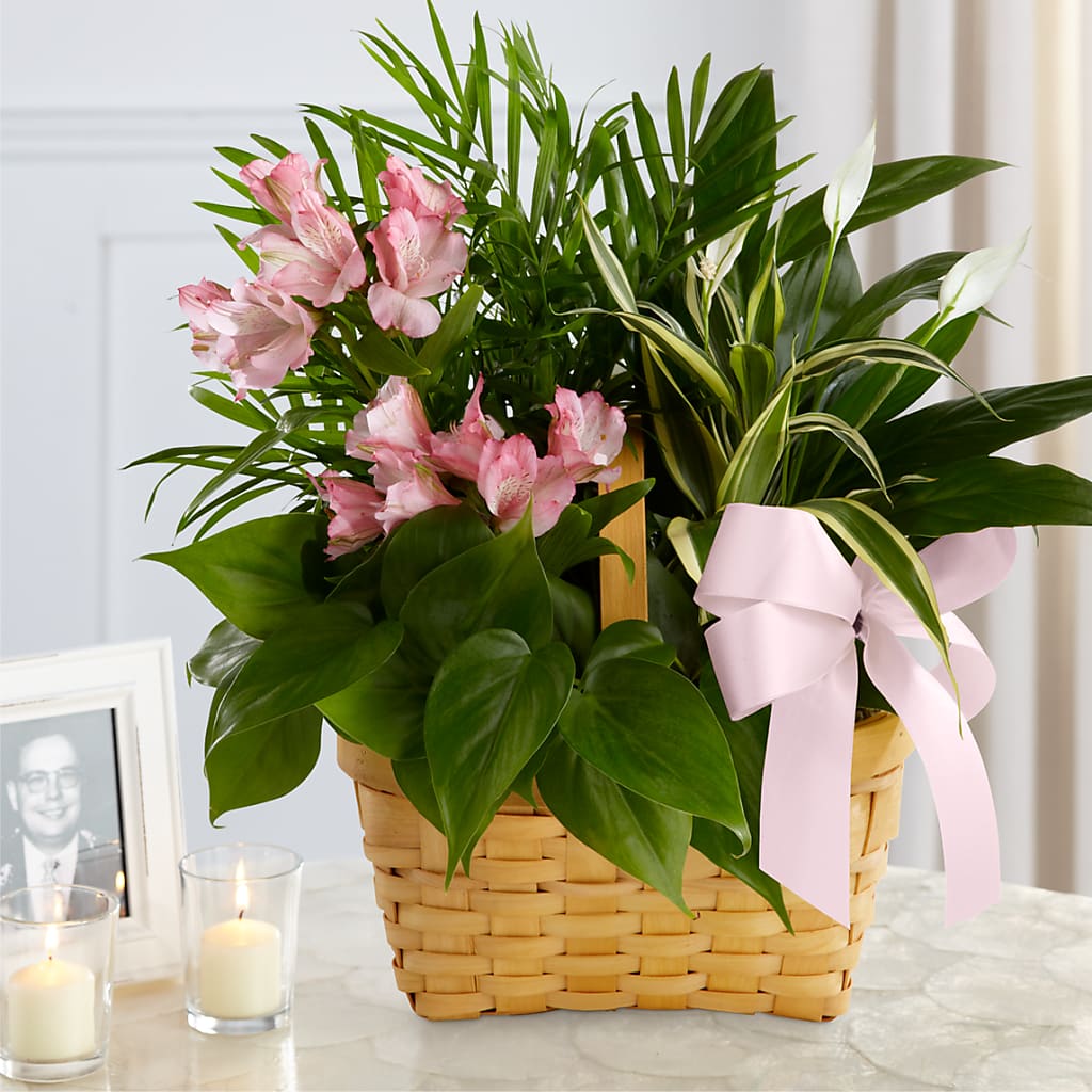 Living Spirit Dishgarden – White Lilies N Paradise, Kokomo IN