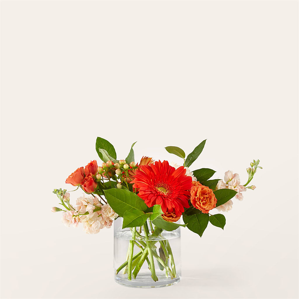 Paloma Please Bouquet – White Lilies N Paradise, Kokomo IN