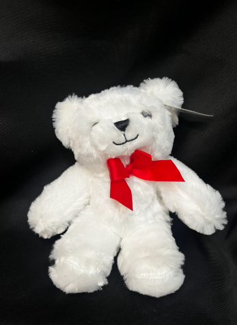 Teddy Bear
