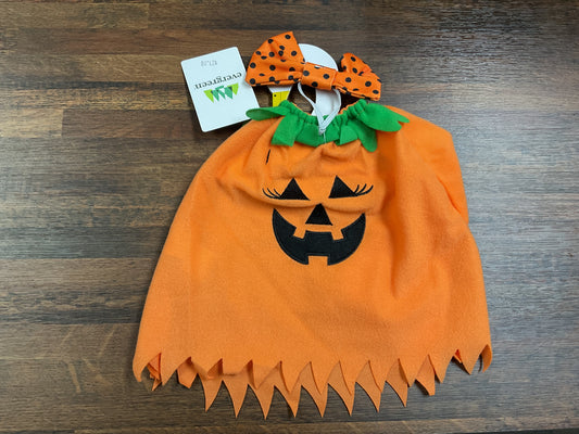 Pumpkin Poncho Goose Outfit –  White Lilies N Paradise, Kokomo IN