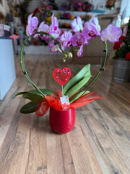 Heart-Shaped Orchid –  White Lilies N Paradise, Kokomo IN