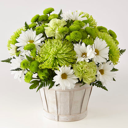 Lucky Charm Basket (Standard) –  White Lilies N Paradise, Kokomo IN