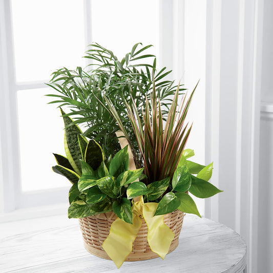 French Garden –  White Lilies N Paradise, Kokomo IN
