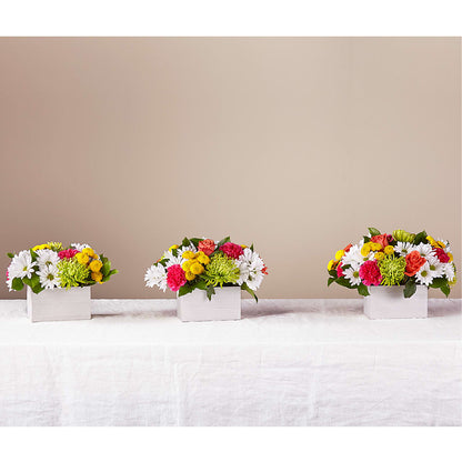 Sorbet Bouquet –  White Lilies N Paradise, Kokomo IN