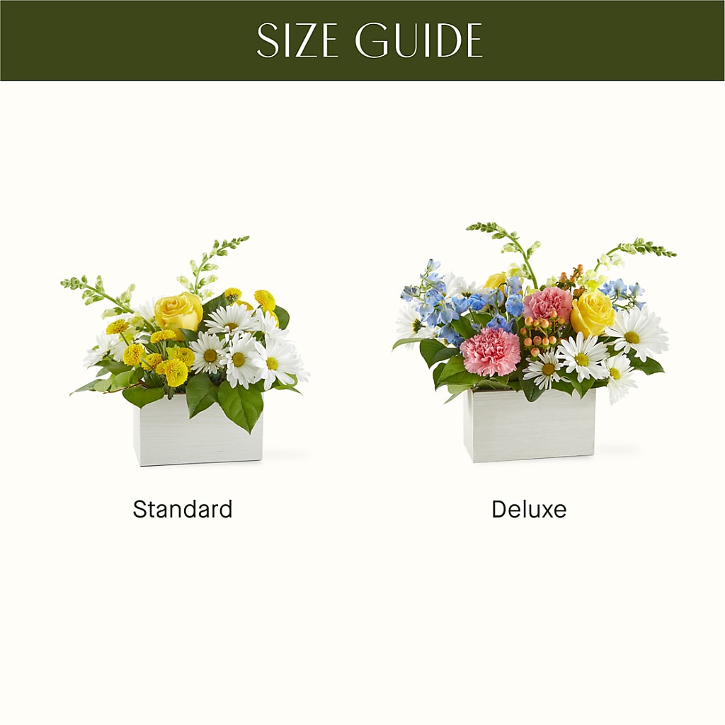 Sun Salutation Box Bouquet –  White Lilies N Paradise, Kokomo IN
