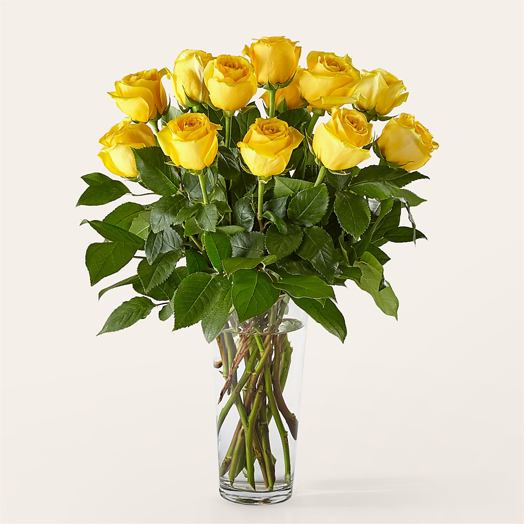 Long Stem Yellow Rose Bouquet –  White Lilies N Paradise, Kokomo IN