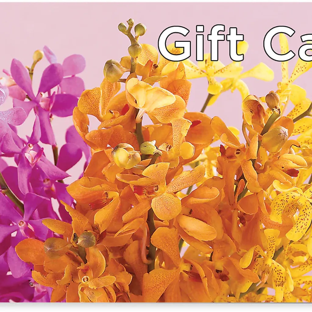 Gift Card –  White Lilies N Paradise, Kokomo IN