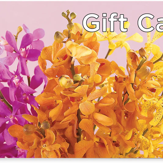 Gift Card –  White Lilies N Paradise, Kokomo IN
