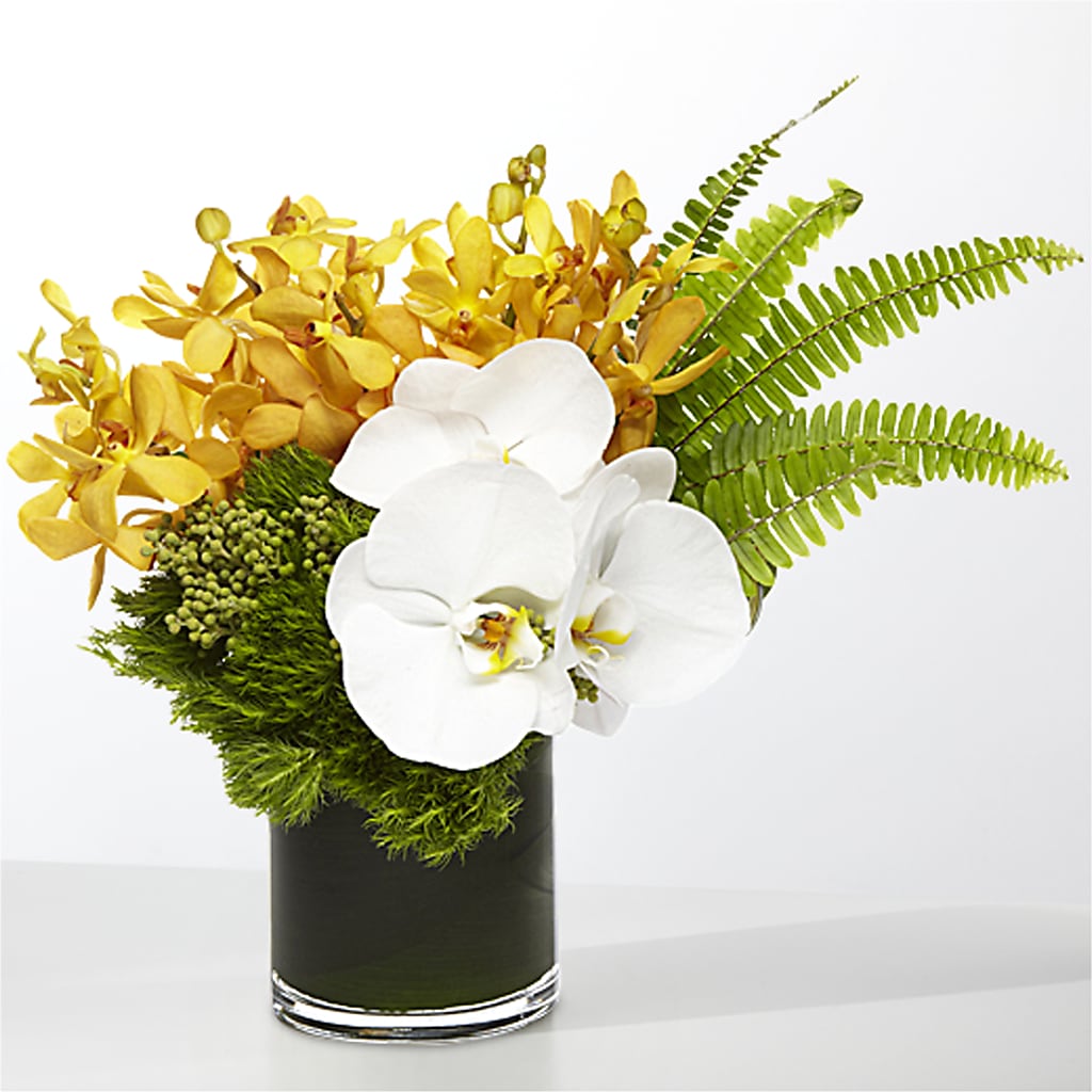 The Tropics –  White Lilies N Paradise, Kokomo IN