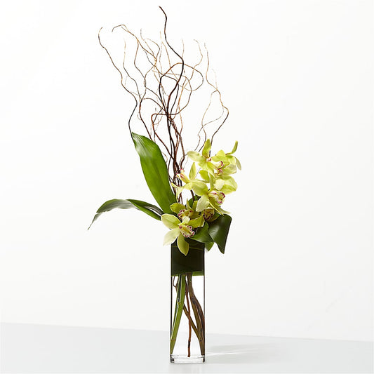 The Statement –  White Lilies N Paradise, Kokomo IN