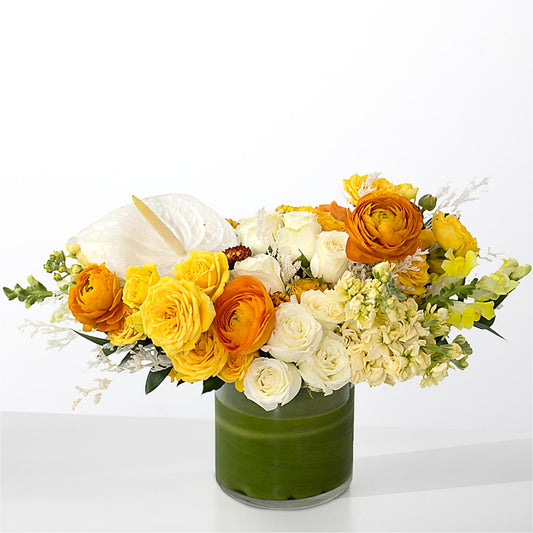 The Optimist –  White Lilies N Paradise, Kokomo IN