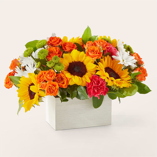 Sun-drenched Blooms Box Bouquet –  White Lilies N Paradise, Kokomo IN