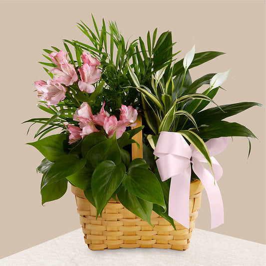 Living Spirit Dishgarden –  White Lilies N Paradise, Kokomo IN