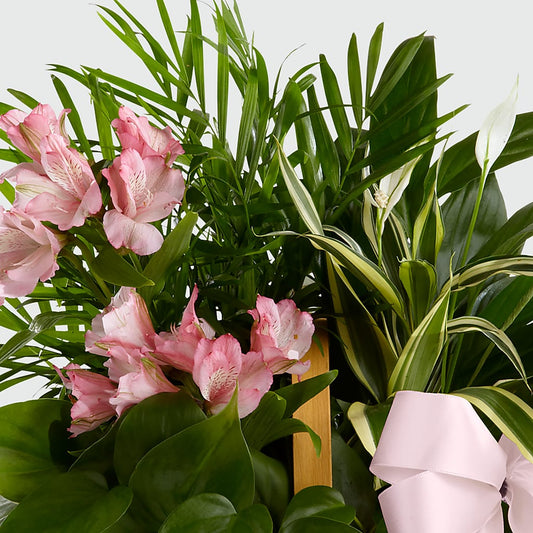 Living Spirit Dishgarden –  White Lilies N Paradise, Kokomo IN