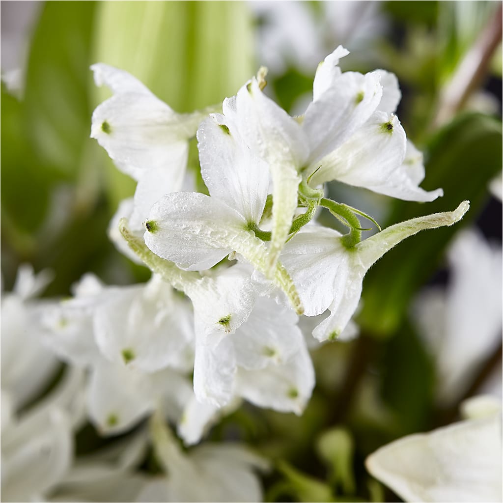 Classic Ivory – A Florist Original –  White Lilies N Paradise, Kokomo IN