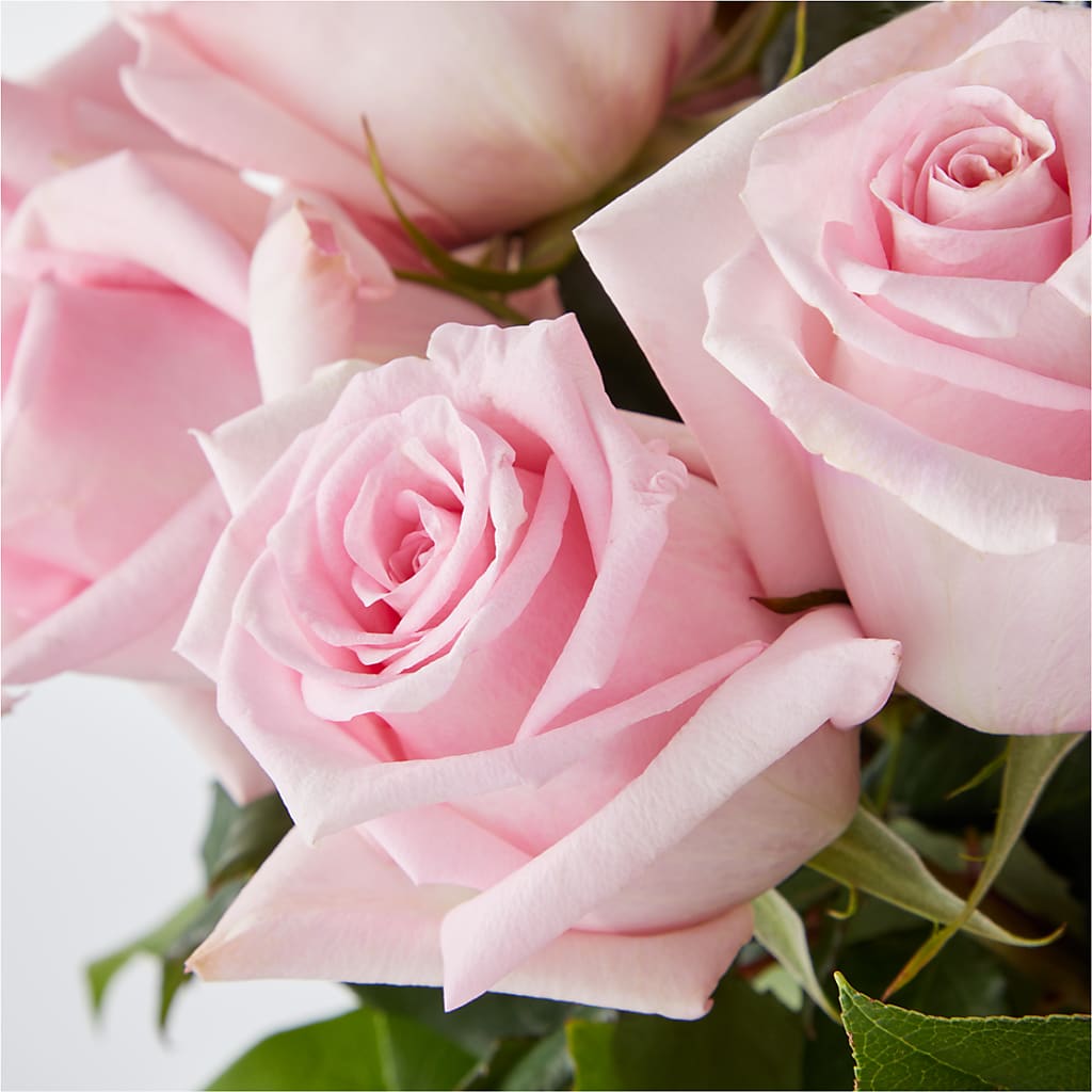 Picture Perfect Pink Rose Bouquet –  White Lilies N Paradise, Kokomo IN