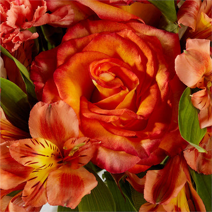 Apricot Glow Bouquet –  White Lilies N Paradise, Kokomo IN