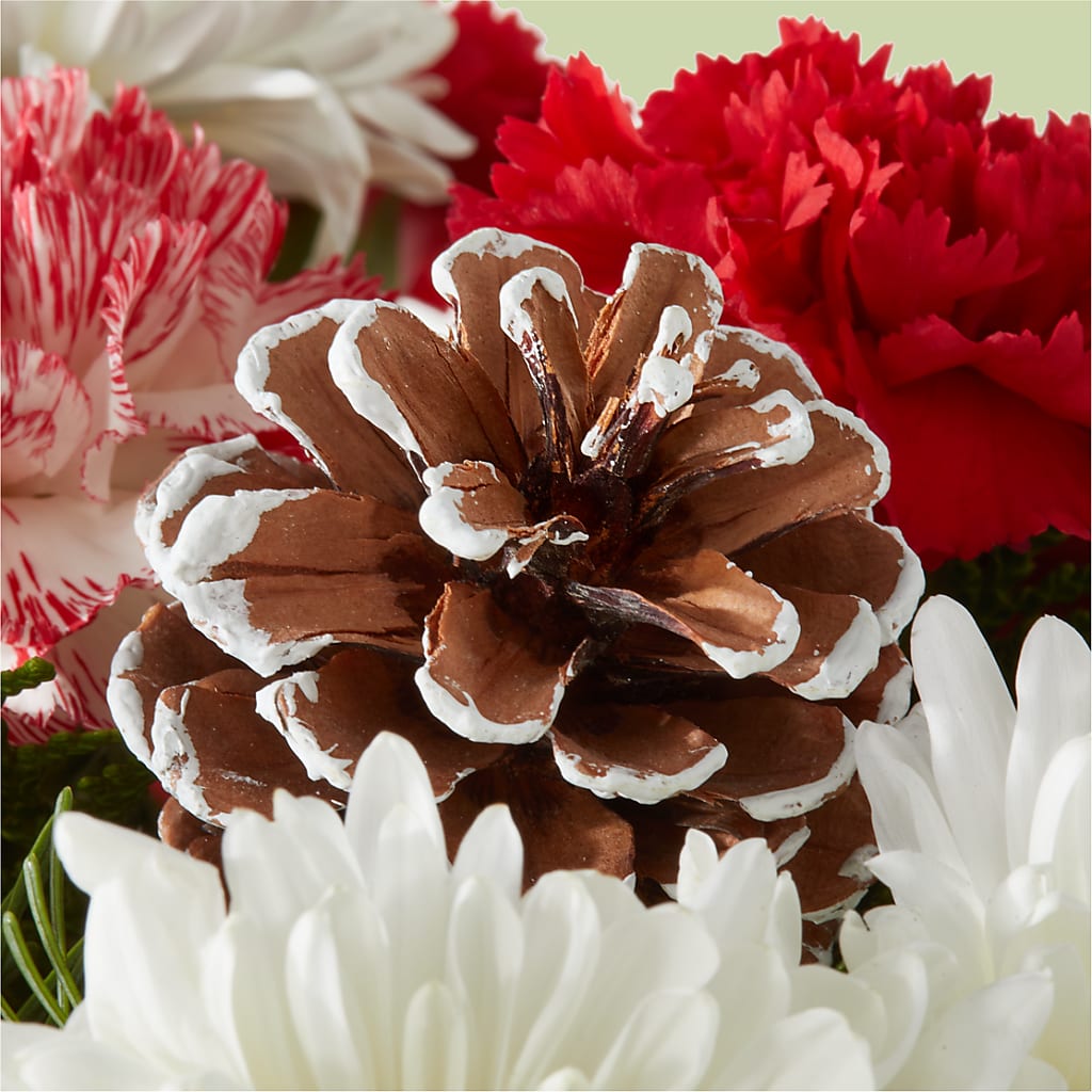 Candy Cane Lane Bouquet –  White Lilies N Paradise, Kokomo IN