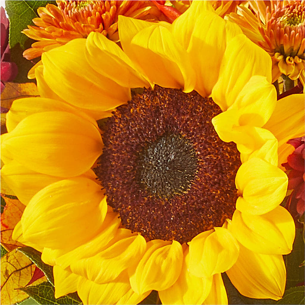 Sunny Side Bouquet –  White Lilies N Paradise, Kokomo IN