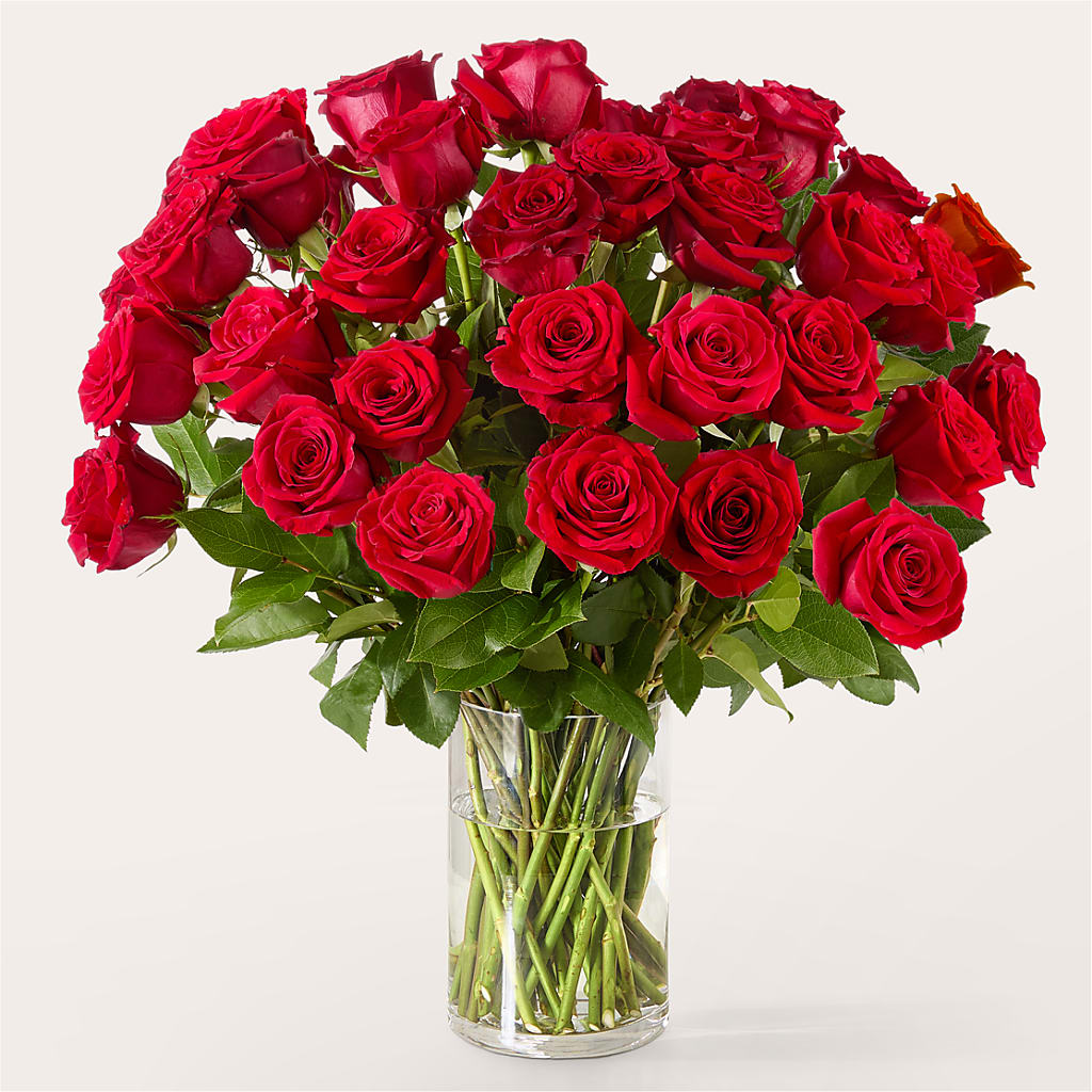 The One Red Rose Bouquet –  White Lilies N Paradise, Kokomo IN