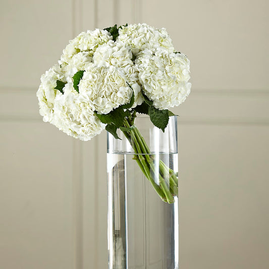 White Hydrangea Hand-Tied Bouquet –  White Lilies N Paradise, Kokomo IN